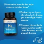 Molecular hydrogen water tablets presentation