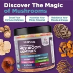 Mushroom gummies presentation