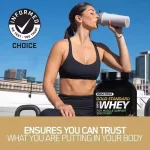 Whey protein isolate powder presentation