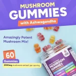 Mushroom gummies product details