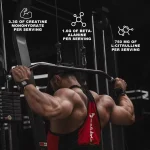 Pre-workout powder details