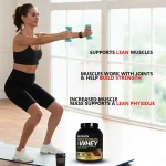 Whey protein isolate powder formula and packaging