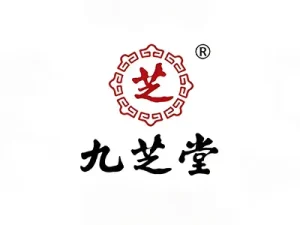 Our partner (10)